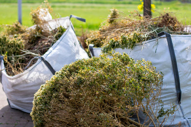Professional Junk Removal Services in Cornish, ME