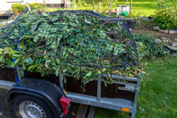 Best Moving and Downsizing Cleanouts  in Cornish, ME